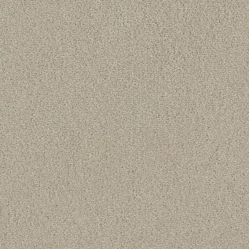 Draufsicht Girloon TWIN Teppichboden Velours 820 Beige, 2/4 m breit